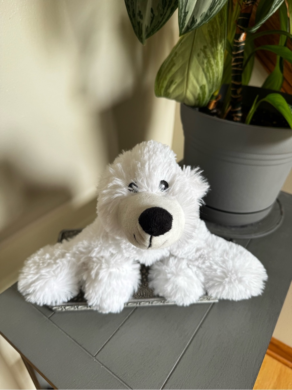 Kellytoy Polar Bear Plush Stuffed Animal White Sewn eyes Squeaker Squeaks